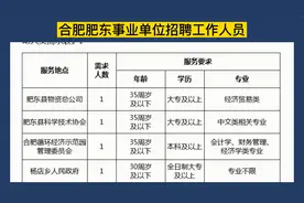 合肥肥东事业单位公开招聘，大专可报，专业不限视频封面