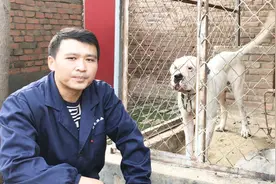 农村小伙花几万买了一只种公，国内绝对少见的种类，到底是啥犬？