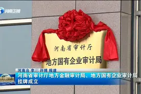 河南省审计厅地方金融审计局、地方国有企业审计局挂牌成立视频封面