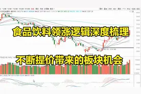 食品饮料领涨逻辑深度梳理，趋势要启动？不断提价带来的板块机会视频封面