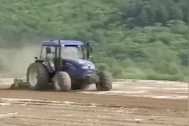 人参种子具有休眠特性，种植前要先对其进行催芽处理视频封面