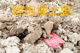 把鞭炮埋进土里，点燃后会怎么样？