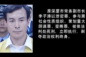 罪域（大结局）郑毅然高升，兆辉煌团伙受法律严惩，正义大获全胜视频封面