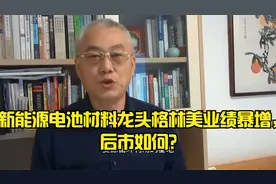 新能源电池材料龙头格林美业绩暴增，后市如何？视频封面
