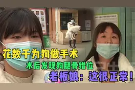 美女花两千为狗做手术，术后发现狗腿骨装错位，店长：这很正常！视频封面