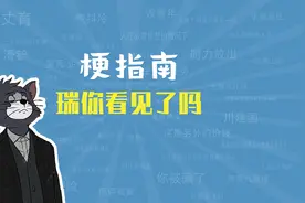 瑞你看见了吗是什么梗【梗指南】