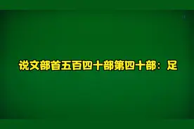 说文部首五百四十讲第四十部：足