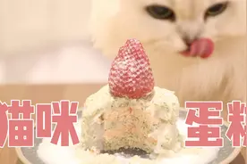 手残也会的万能猫蛋糕做法，以后猫生日就这么安排吧！视频封面