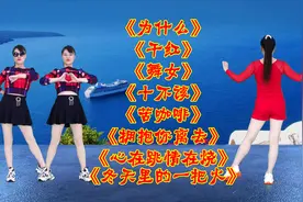 火爆DJ《为什么》《干红》《舞女》《十不该》《冬天里的一把火》