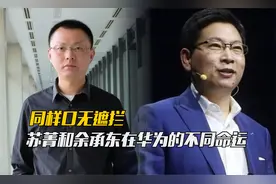同样口出狂言，为何苏菁被任正非撤职，余承东却在华为平步青云？视频封面