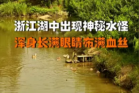 浙江湖中出现神秘水怪，浑身长满眼睛布满血丝，村民惊慌不敢靠近
