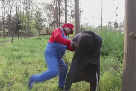 奥特曼真人版：马里奥兄弟玩捉迷藏，哥哥使用法术，能找到弟弟？视频封面