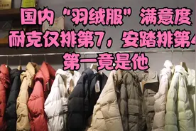 国内“羽绒服”满意度：耐克仅排第7，安踏排第4，第一竟是他