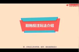 双色球胆拖玩法介绍