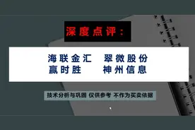 海联金汇 涨停，翠微股份 神州信息 赢时胜 怎么看? 熟去熟留？视频封面