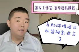 东大木：单机日200的自动挂机游戏项目？防不胜防的加盟骗局！