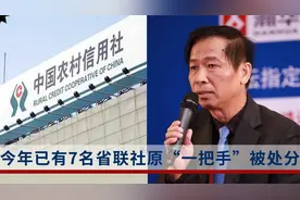 退休3年的他周日落马！今年已有7名省级农信社原“一把手”被处分视频封面