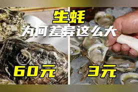 同样是生蚝，为何有的60一只，有的却只有3元一只？视频封面