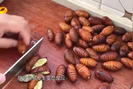 吃蚕蛹为何致人休克？专家敲警钟：这类人群无福享受|新闻大求真