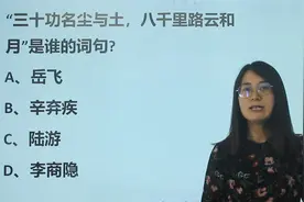 语文常识：“三十功名尘与土，八千里路云和月”，这句是谁写的？