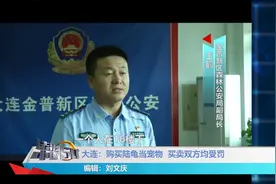 跨省破获贩卖濒危野生动物案，购买陆龟当宠物，买卖双方均受罚视频封面