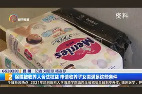 保障被收养人合法权益 申请收养子女需满足这些条件