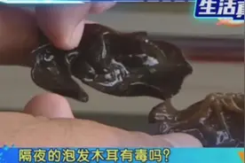 隔夜的“泡发木耳”真的有毒吗？专家解答真相视频封面