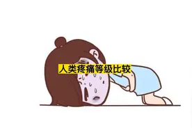人类疼痛等级比较#世界之最#疼痛
