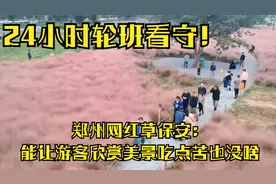 24小时轮班看守！郑州网红草保安：能让游客欣赏美景吃点苦也没啥视频封面