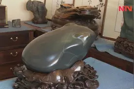 村民河边发现“奇石”，石头酷似金蟾，引网友围观！视频封面