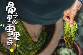 up臭脚丫子踏出来的雪菜竟然咸鲜味美？你敢吃吗？视频封面