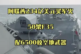 阿联酋234亿美元买军火，50架F35，配6500枚空地武器视频封面