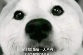 别再做舔狗了好吗？依靠而不依赖，才是最舒服的相处方式！视频封面