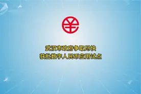 看来下一批数字人民币试点少不了武汉啦！视频封面