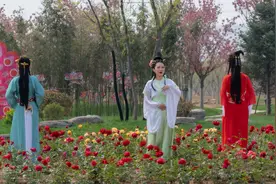 泉城百花园 首届樱花节视频封面