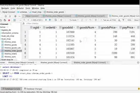 Mysql数据库-使用DataGrip连接Mysql-问题说明