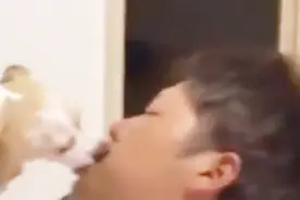 吻得太逼真！男子醉倒后遭狗狗“狂吻” 网友：到洗牙的程度了