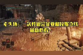 艾尔登法环：16分钟内教你一口气做完拉妮与菲亚的支线任务攻略！视频封面