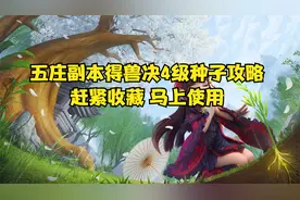 梦幻西游五庄副本得兽决4级种子攻略，