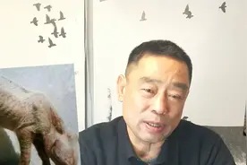 猪得了僵猪症不要着急放弃，用这几招试试看，能让僵猪快速脱僵！视频封面