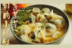 快手自制便当系列，零基础，做蓬蒿菜鲜肉小馄饨，春日美食家