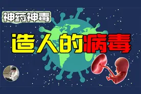 人体中存在大量病毒基因？胎盘竟是病毒的杰作，创造人类的病毒视频封面