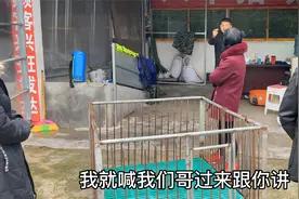 坡姐在荣昌买了两头40斤的小母猪，花了4800，这个价格贵不贵