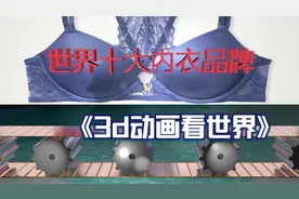 3D动画看世界（世界十大内衣品牌）视频封面