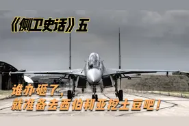 【俄方回忆录】24架崭新Su-27，战士们出发吧，目标美酒美食。五视频封面