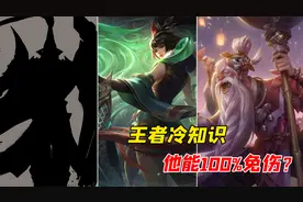 盘点减伤机制，苍穹虚弱别同时使用，他能100%免伤？