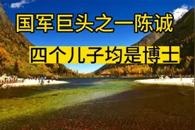 国军巨头之一陈诚，官至“副总统”，且四个儿子都是博士视频封面