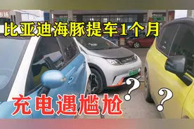 比亚迪海豚提车1个月，充电遇到尴尬，连出租车师傅也没办法
