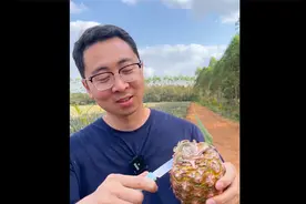 凤梨怎么吃，要不要扣眼和泡盐水？凤梨不会削皮？答案全在视频里视频封面