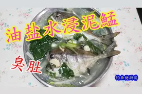 【钓鱼佬厨房13】《油盐水浸泥鯭臭肚鱼》